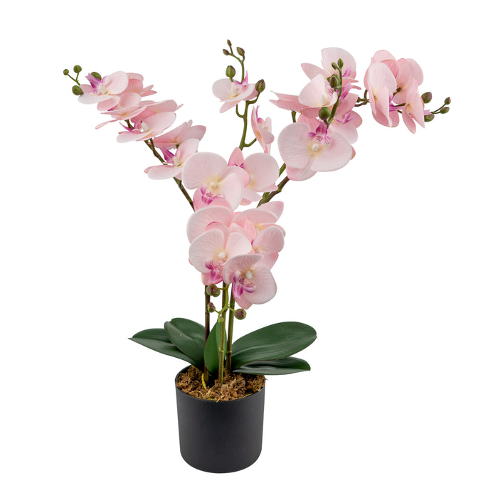 Elegance Petal Orchid 60CM - Artificial Plant