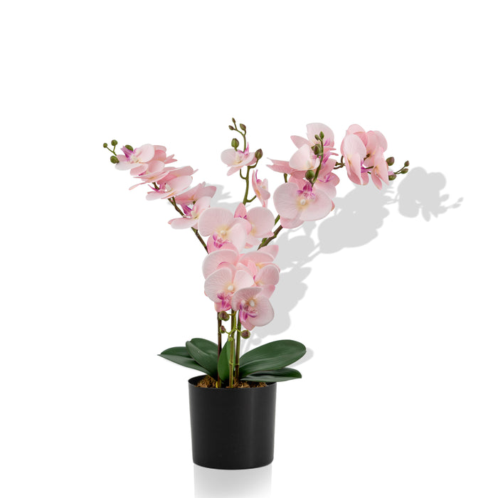 Elegance Petal Orchid 60CM - Artificial Plant