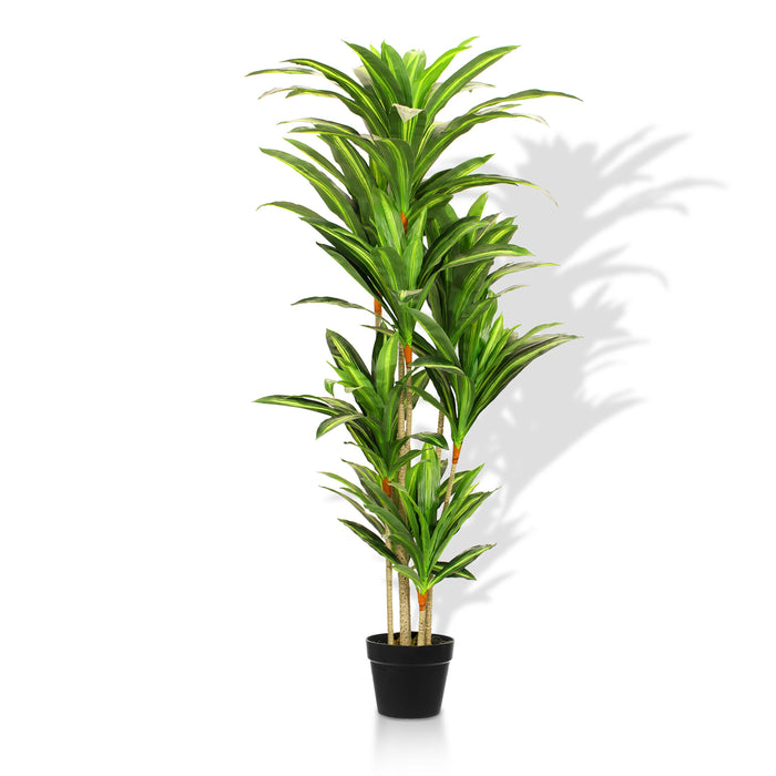 5.6ft Artificial Dracaena Tree - Artificial Plant