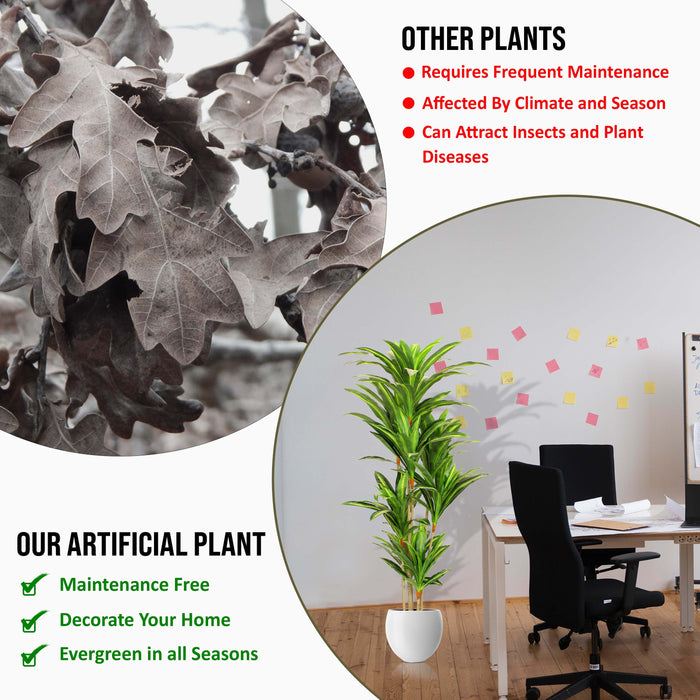 5.6ft Artificial Dracaena Tree - Artificial Plant