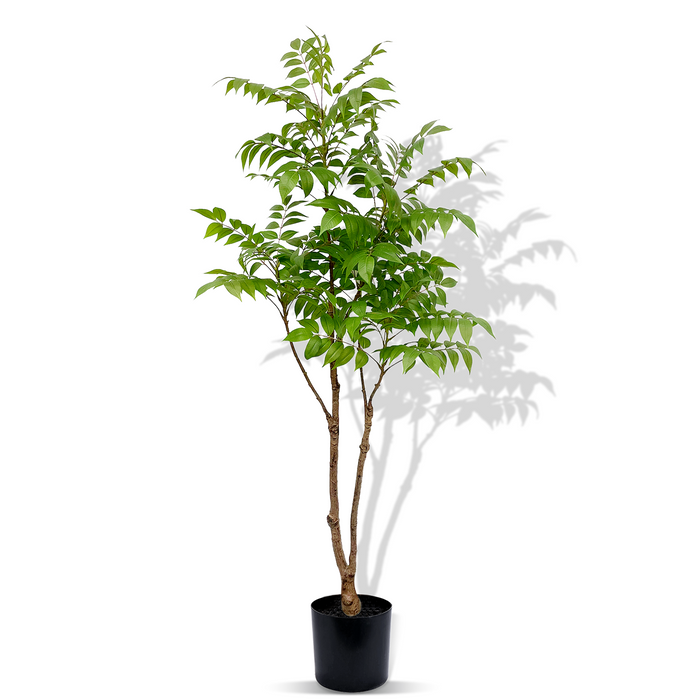 5Ft Chinese Pistache Splendor - Artificial Plant