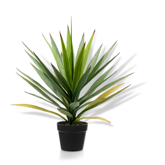 Agave Succulent 50CM - Artificial Plant