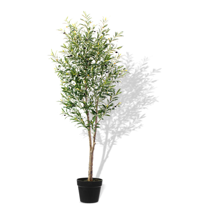 6Ft Olive Tree with 48PCS Fresh Olives - Artificial Plant