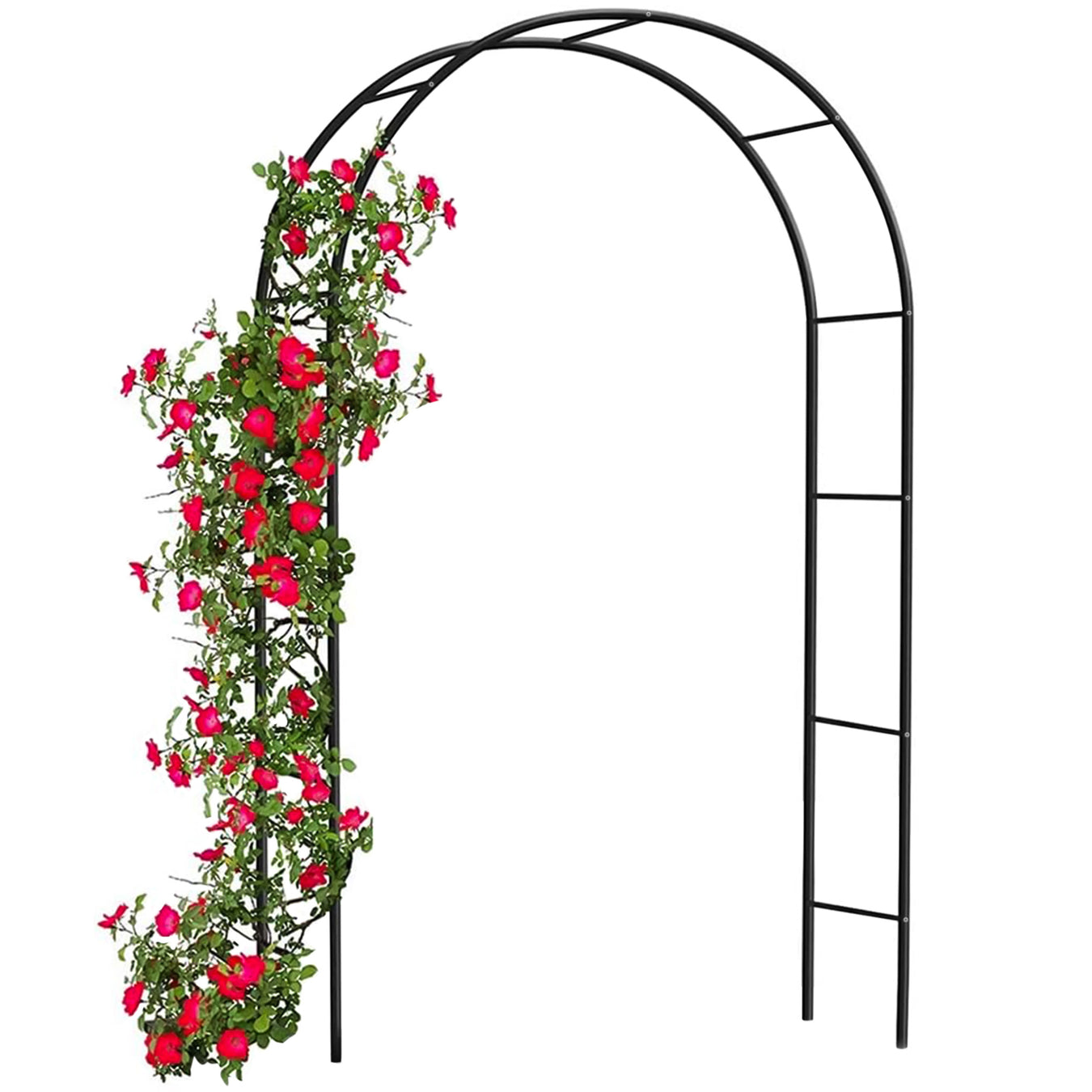 Garden Arch