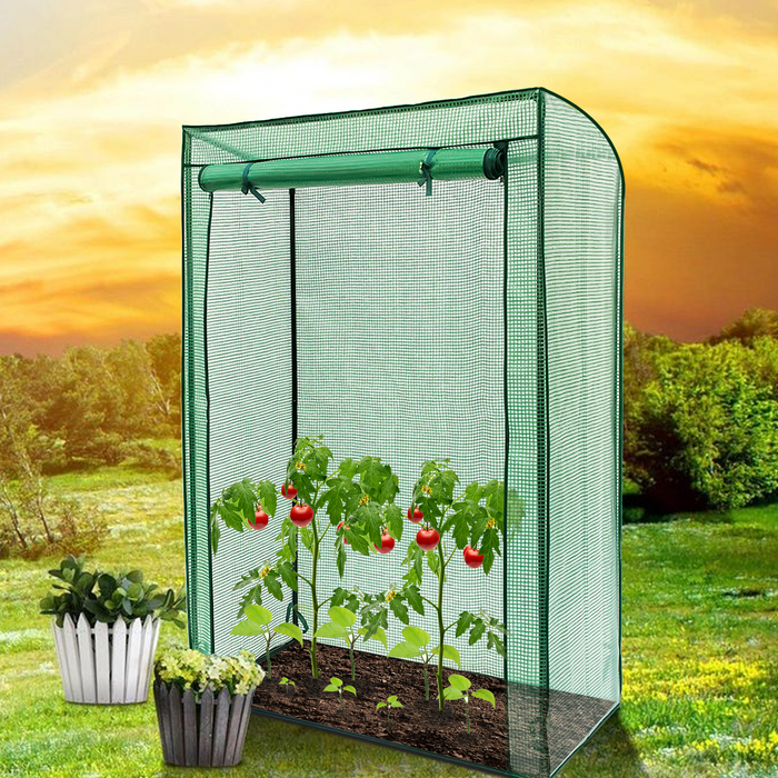 Tomato Greenhouse Frame & Cover