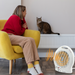 Play With Your Pet in Controlled Temperature 