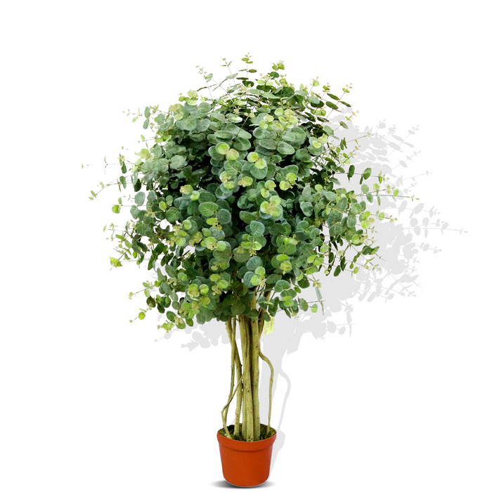 Natal Plum 1.2M - Artificial Plant