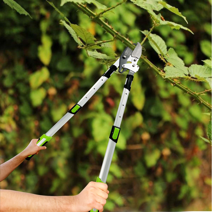 Telescopic Ratchet Tree Loppers