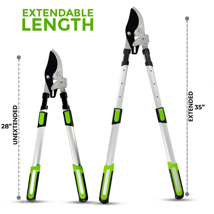 Telescopic Ratchet Tree Loppers