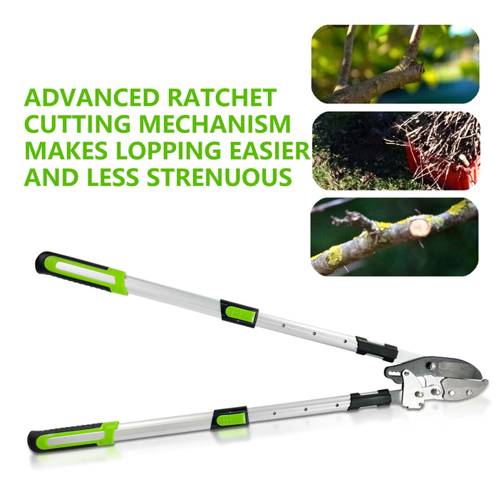 Telescopic Ratchet Tree Loppers