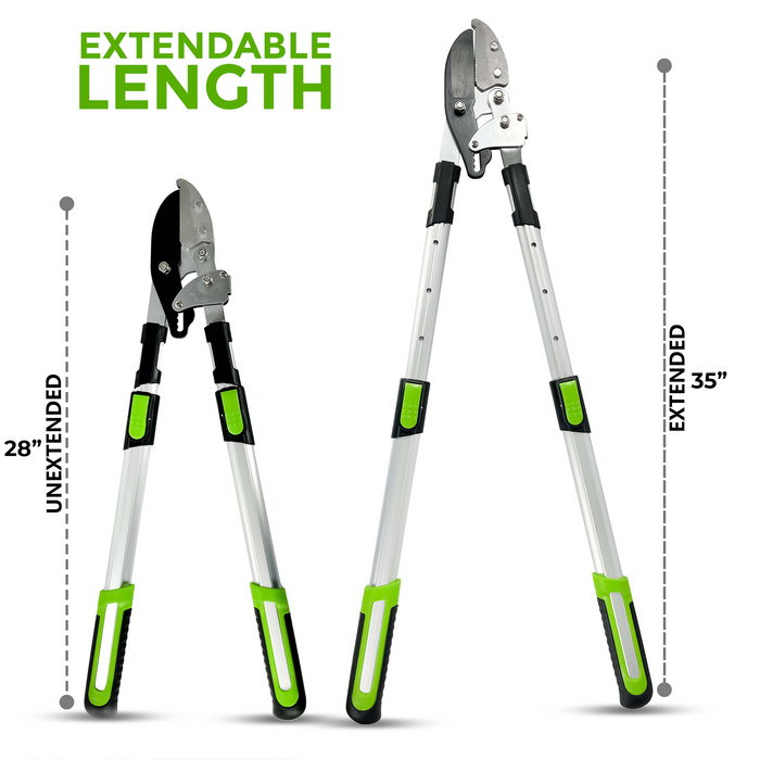 Telescopic Ratchet Tree Loppers