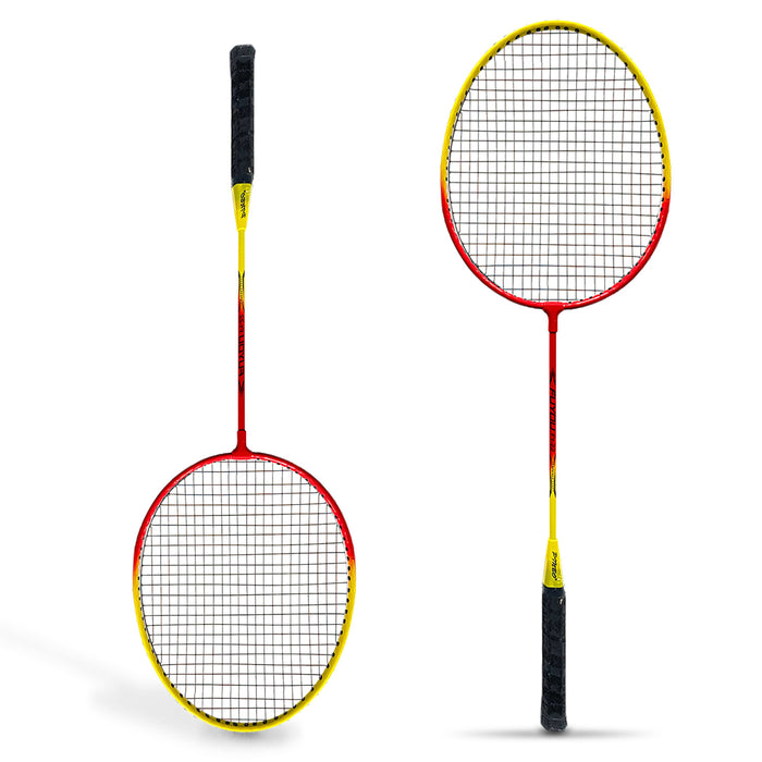 Two Players Professional Badminton Set