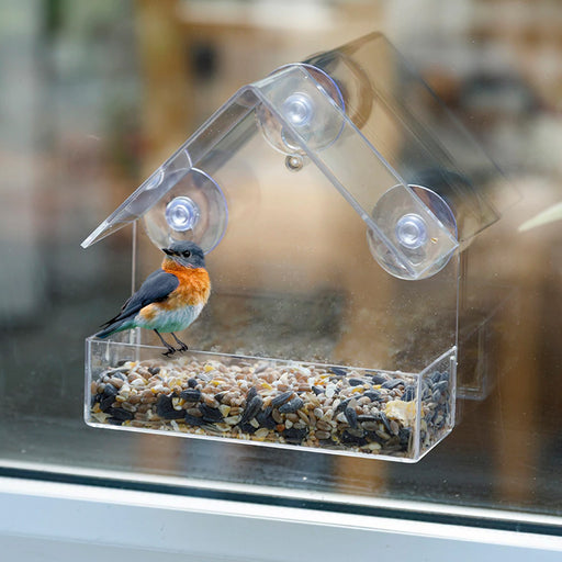 Window Birth Feeder UK