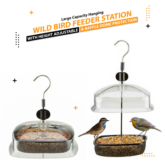 Wild Bird Feeder Station