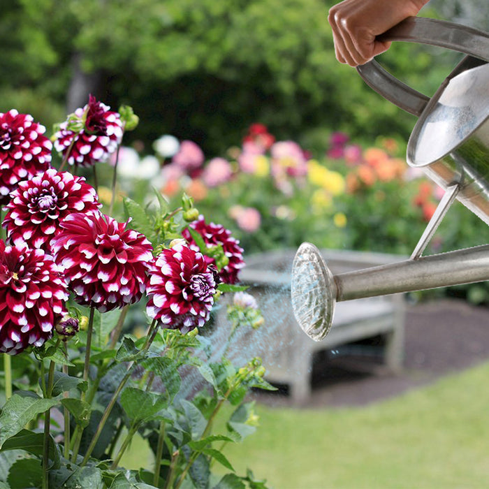 Easy to Use Watering Pot