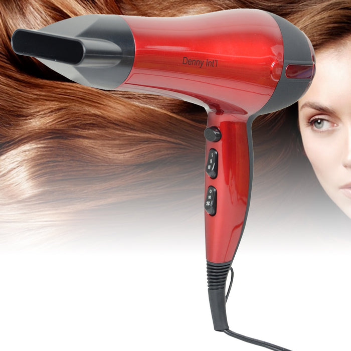 Denny International Hair Dryer