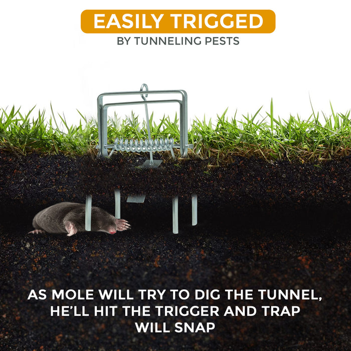 Easily Trigged By Tunneling Pests