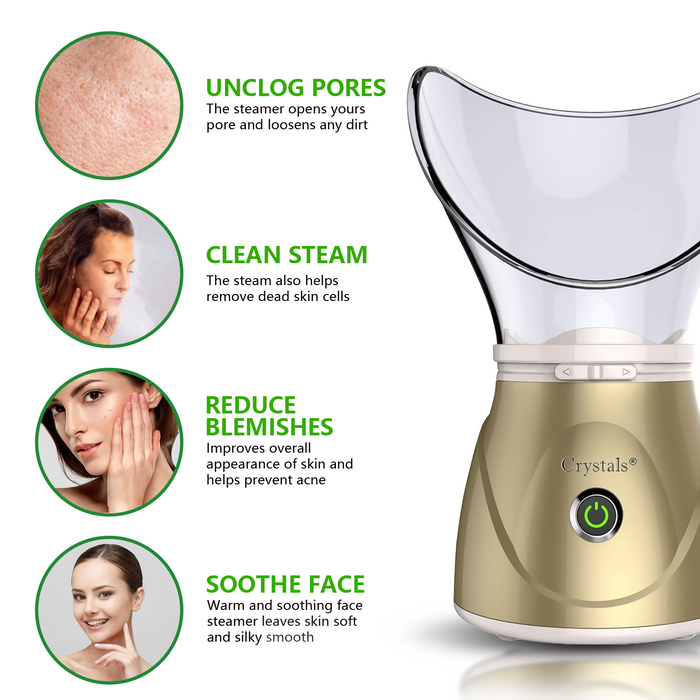 Face Spa Facial Digital Steamer