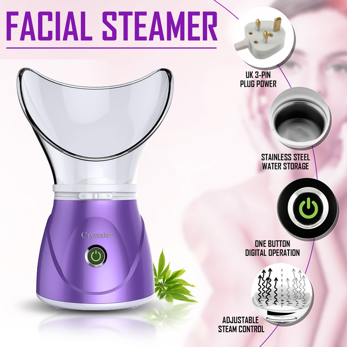 Face Spa Facial Digital Steamer